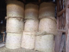 Heuballen rund, erster Schnitt 2022, Maße ca 1,35m im Durchmesser mal 1,2m hoch