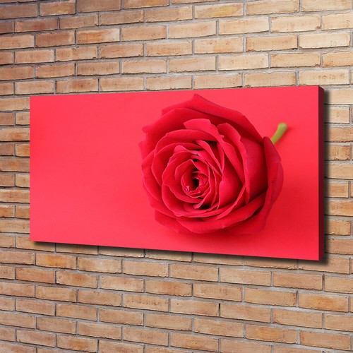 Leinwandbild kunst druck - leinwandbild, kunst-druck
