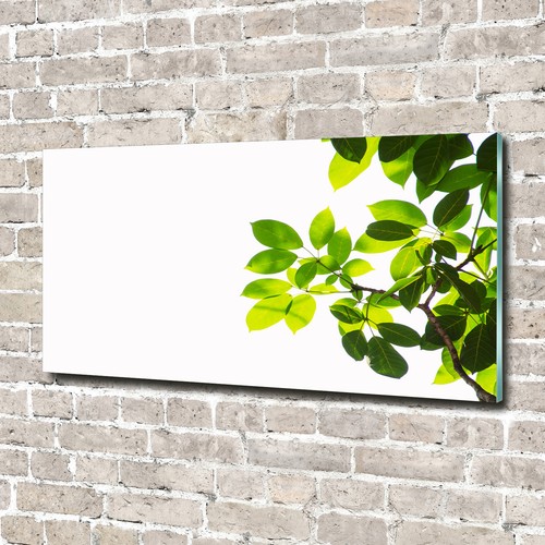 Glas bild wandbilder - glas-bild, druck