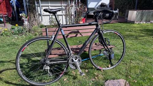 Rennrad red bull pro chorus - red,