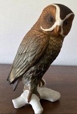 Grosse Eule Von Ens
