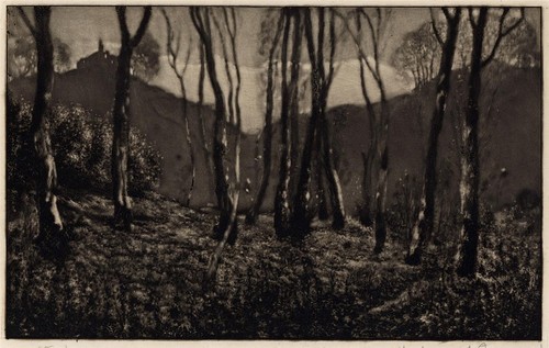 David waterson mezzotint 1900 - waterson,