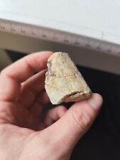 HELIODOR rund Kristall Mineralien Edelsteine Beryll Mineralsteine Rohstein