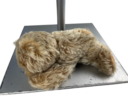 Steiff tier sammler - steiff,