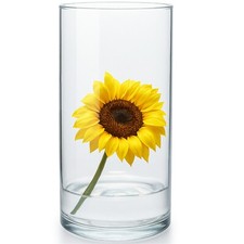 Zylinder glasvase 16 cm - 16,