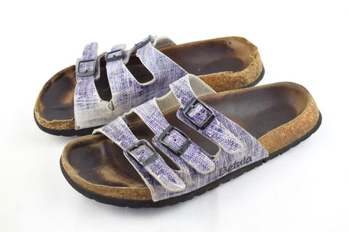 Betula birkenstock florida - by,