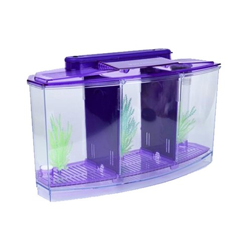 Zuchtbecken aquarium led - -zuchtbecken,, aquarium,