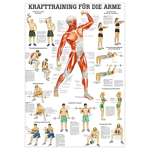 Mini poster krafttraining - mini-poster, "krafttraining