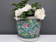 Blumentopf mit Untersetzer