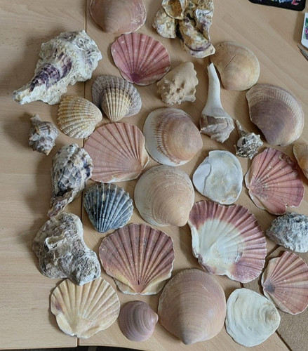 Sammlung große natürliche