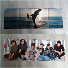 Nevada Tan Delfine Poster Sammlung Konvolut Gr. L