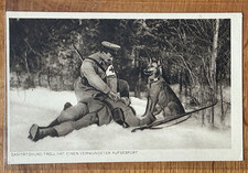 AK•Rotes Kreuz - Sanitätshund Troll•Wohlfahrt• Oldenburg WK 1• red Cross dog WW1