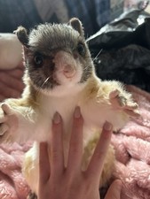 Handgemachtes Produkt