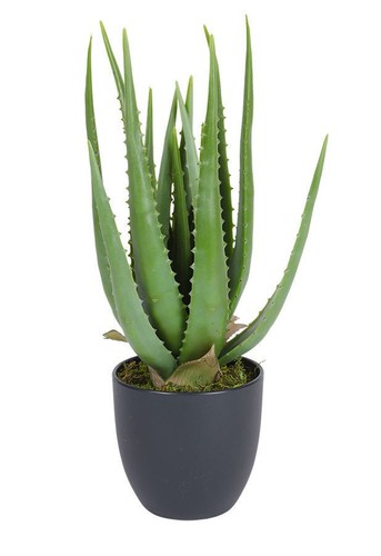 Aloe vera kunstpflanze topf - aloe,