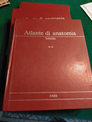 Anatomie atlas bänden - in,