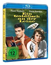 Ein Goldfisch an der Leine