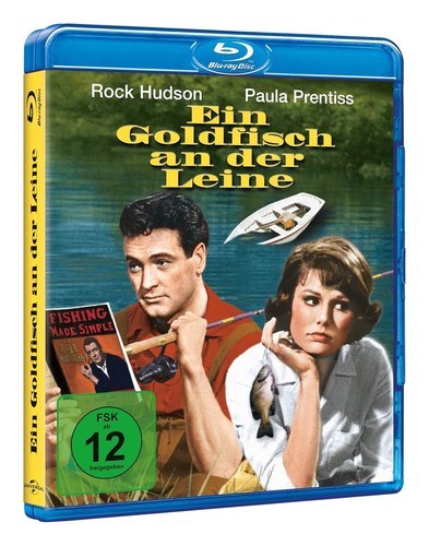 Ein goldfisch der leine - an,