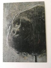 Charmanter Bäcker - Die