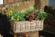 Weidenkorb,Blumenkasten,breite