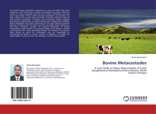 Bovine metacestodes alula - metacestodes,