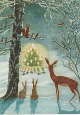 "Schnee und Eis" schönes