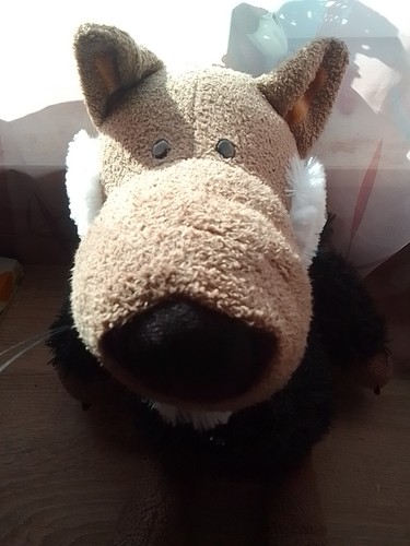 Wolf schafspelz - wolf,