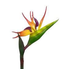 Künstliche strelitzie 83cm - strelitzie,
