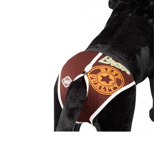 Dog pants brave - pants,