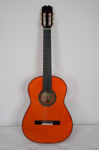 Legendär flamenco gitarre - legendär!, flamenco-gitarre