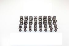 Schrick Ventilfedern Kit VW