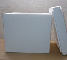 Styroporbox  17L 6,5cm Wand! gebraucht Kühlen Wärmen Transportbox Tiertransport