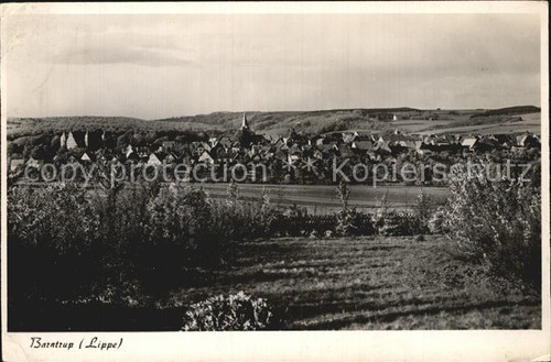 Barntrup panorama - barntrup,