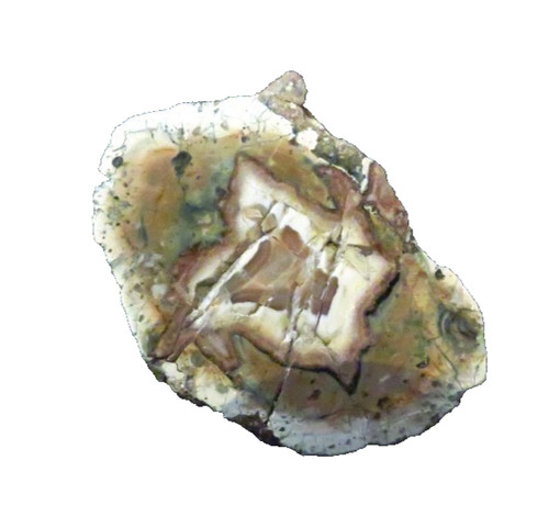 Achat agate von nesselhof - von,