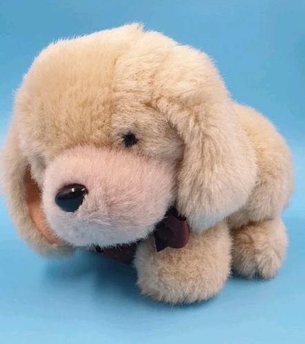 Hund welpe schleife labrador - hund,