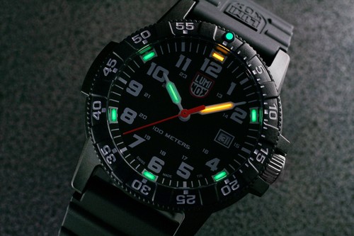 Luminox leatherback sea turtle - leatherback,