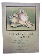 Les merveilles de la Mer - Les