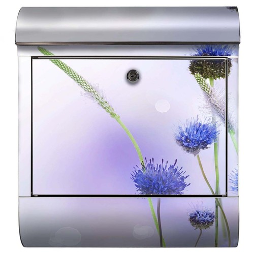 Briefkasten blau blume - briefkasten, garten