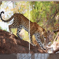 Zoo Rustikale Gardine Leopard