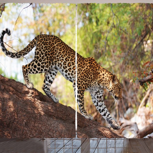 Zoo rustikale gardine leopard - zoo,