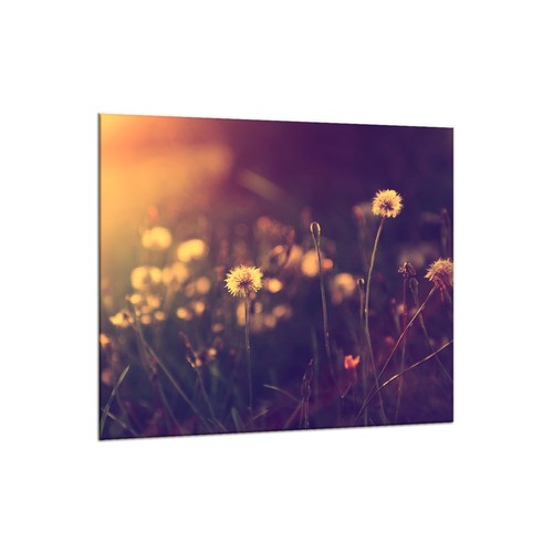 Küchenrückwand glas 65x60 - küchenrückwand,