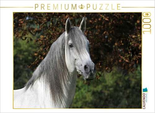 Calvendo puzzle berber - calvendo,