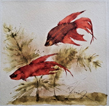 Krüger Betta splendens Kampffisch Aquarell signiert Fische