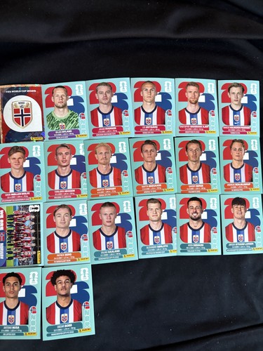 Panini 2026 sticker - wm,