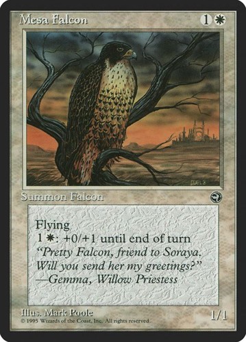 Mesa falcon - falcon, (10b)