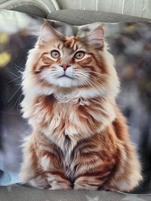 Kissenhülle Kissenbezug Dekokissen Maine Coon Katze Motiv