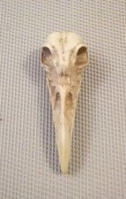 Marvel Legends Action Figur BAF Konshu Kopf (Moon Knight), neuwertig