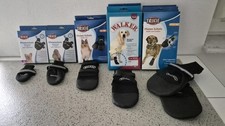 Hundeschuhe Pfotenschutz