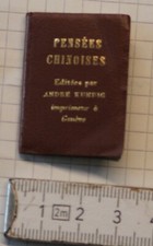 micro / mini buch alt PENSEES