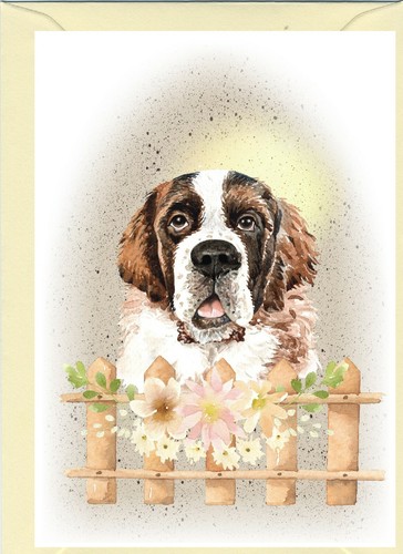 Bernhardiner hund zoll - bernhardiner, x