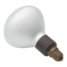 Fotolampe PR 500W 220V  neu